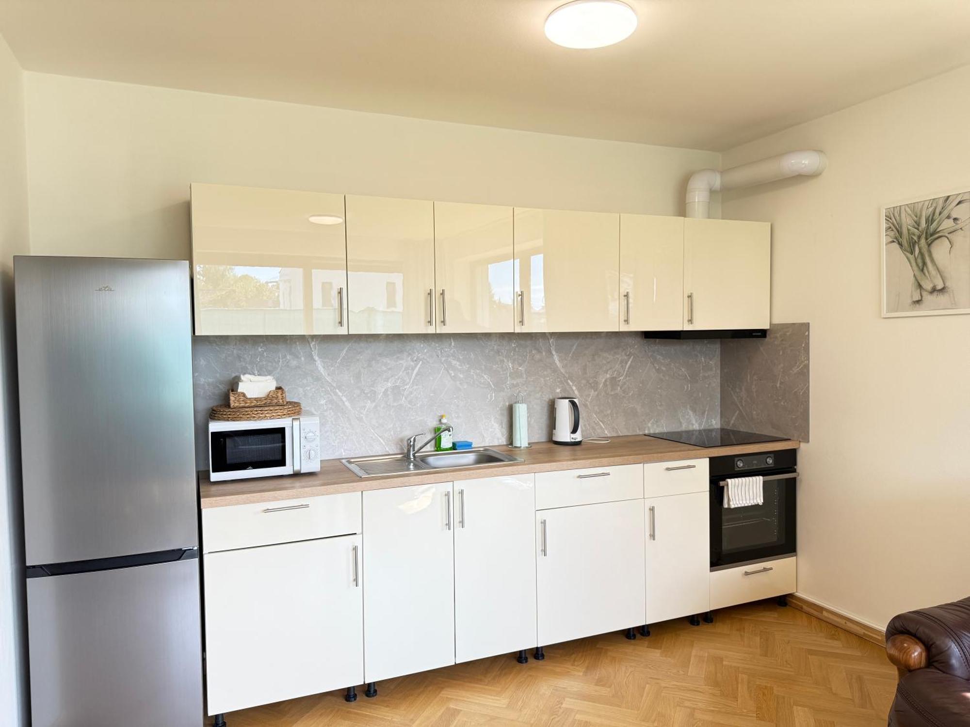 Familyvilla, New 4 Luxury Big Apartments, Parking Prag